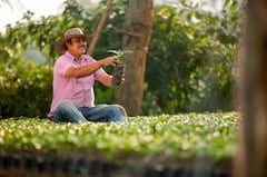Colombia tiene más de 500 mil familias dedicadas al cultivo de café: foto suministrada por la FNC