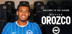 Brighton & Hove Albion