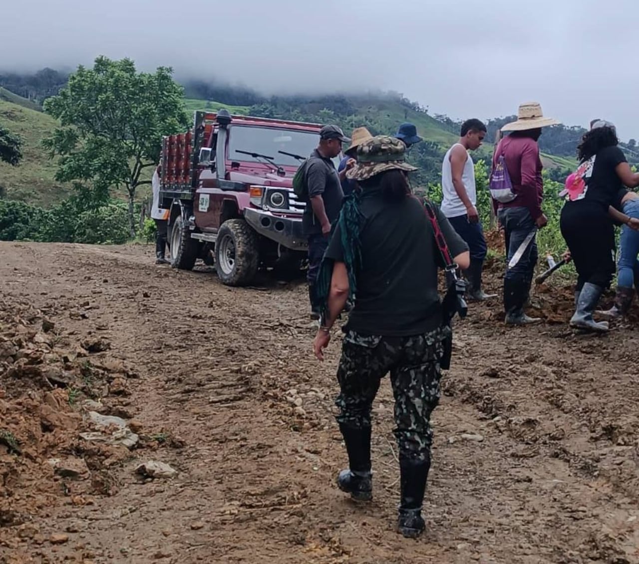 La disidencia Carlos Patiño de las Farc es el grupo armado al margen de la ley que delinque en los municipios de El Tambo, Argelia y El Patía.