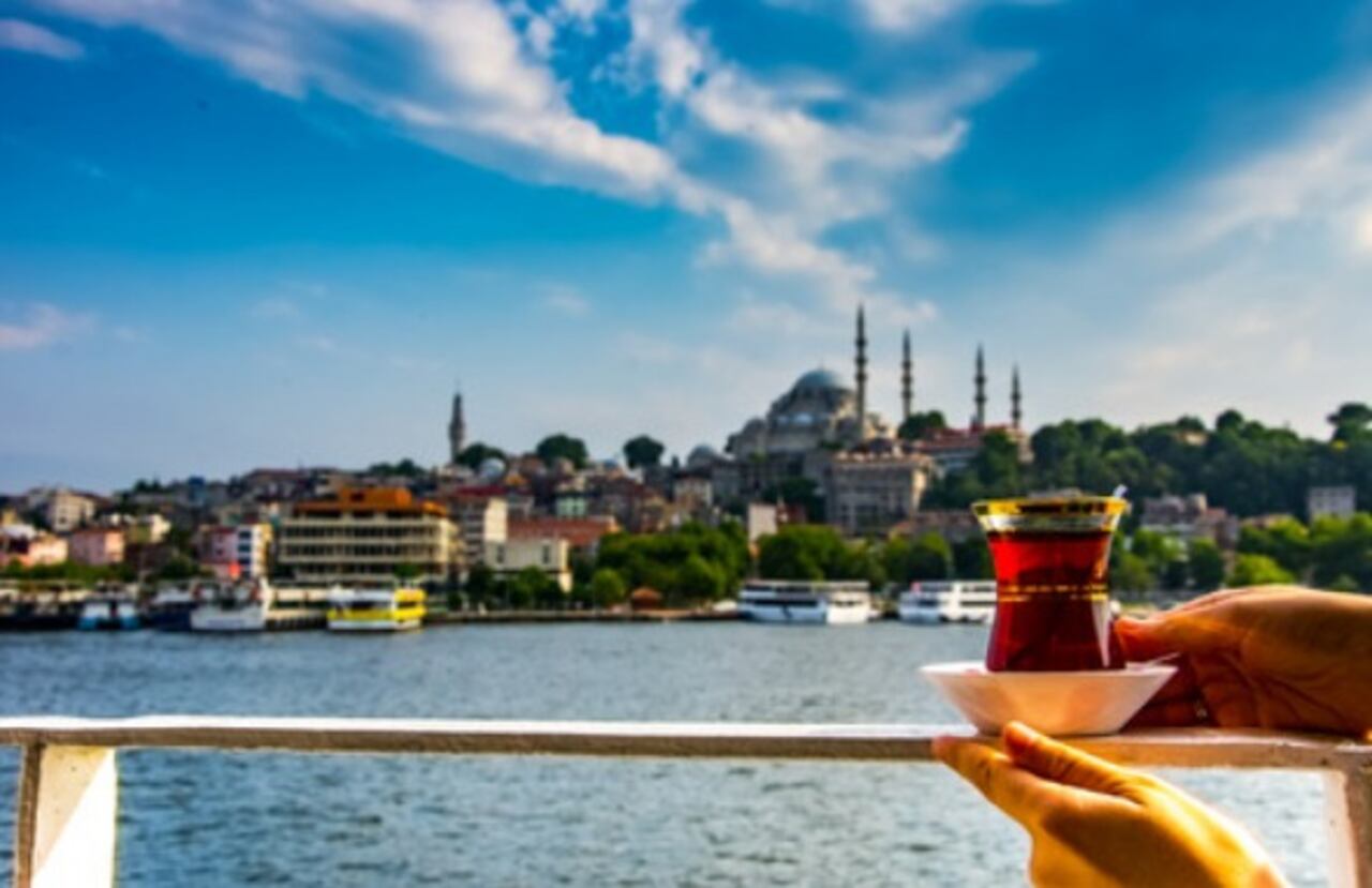 Turquía es un destino turístico fascinante que ofrece desde la vibrante metrópolis de Estambul hasta paisajes surrealistas como Capadocia, pasando por impresionantes ruinas antiguas y la belleza natural de sus costas