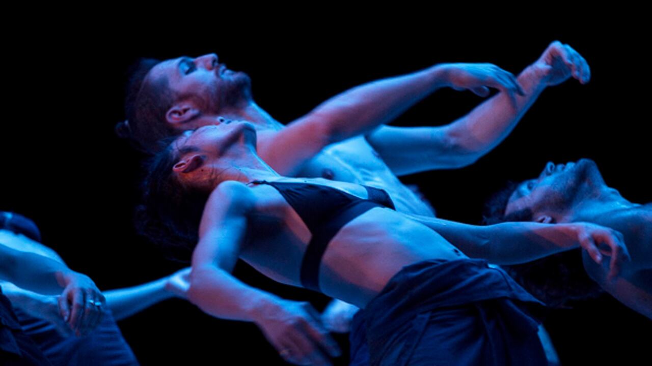 La Bienal se realizará del 7 al 13 de noviembre, con más de 500 artistas y una programación de más de 40 eventos para niños, jóvenes y adultos.