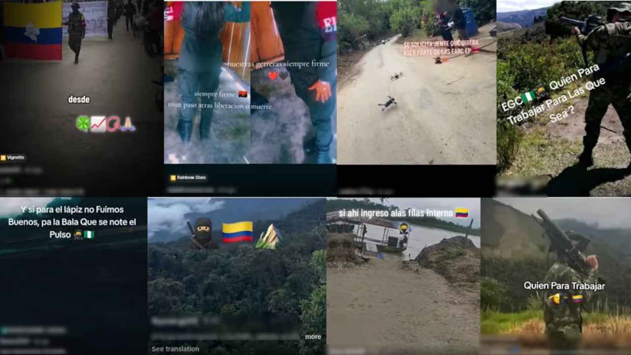 Esta gramática emocional fue identificada tras examinar 146 publicaciones musicales de perfiles vinculados a disidencias de las Farc, el Eln y el Clan del Golfo.