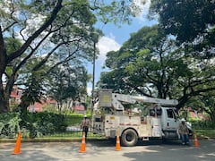 El tramo intervenido conecta zonas residenciales con el sector comercial de Cosmocentro, un punto de alta circulación peatonal y vehicular.