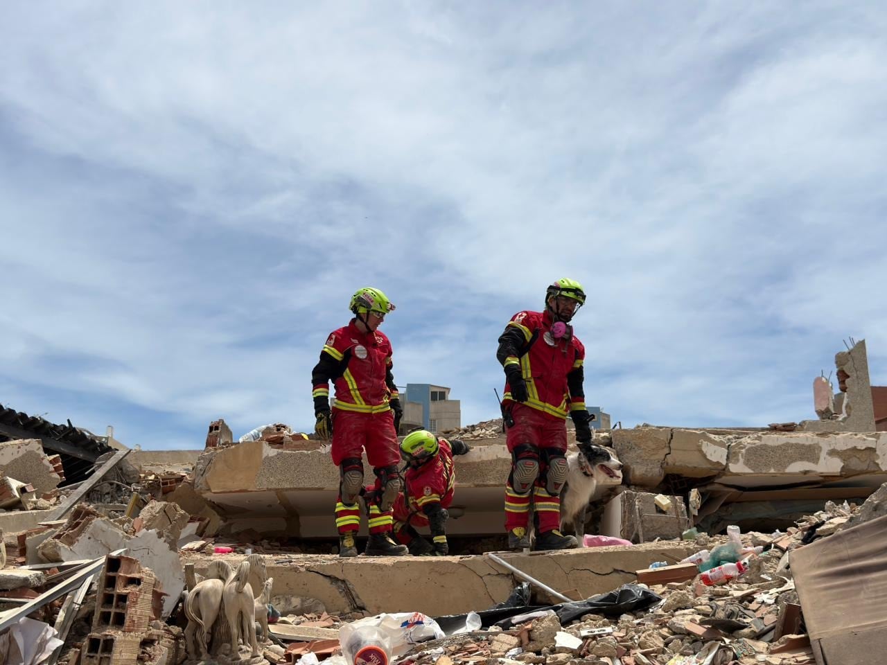 Los binomios caninos son uno de los recursos más efectivos para localizar sobrevivientes en estructuras colapsadas tras los terremotos en Venezuela.