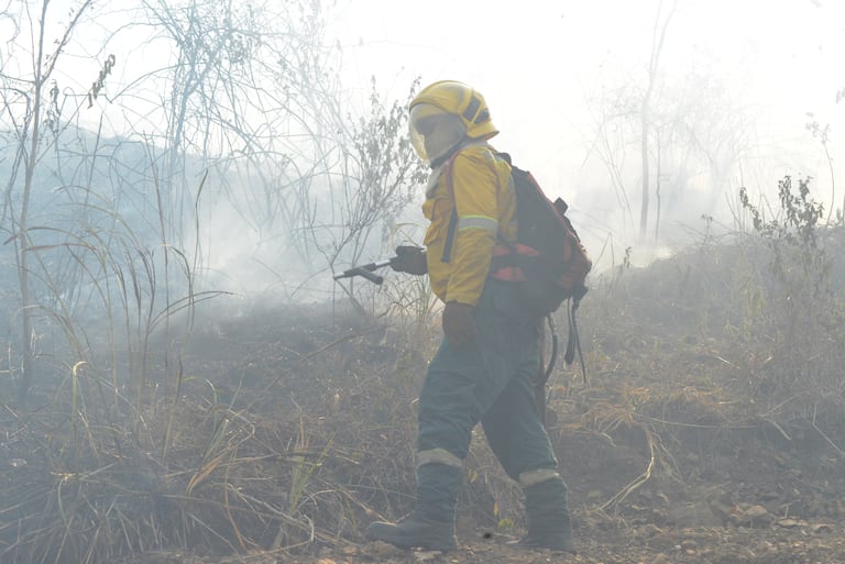 Incendio Forestal Altos de Menga