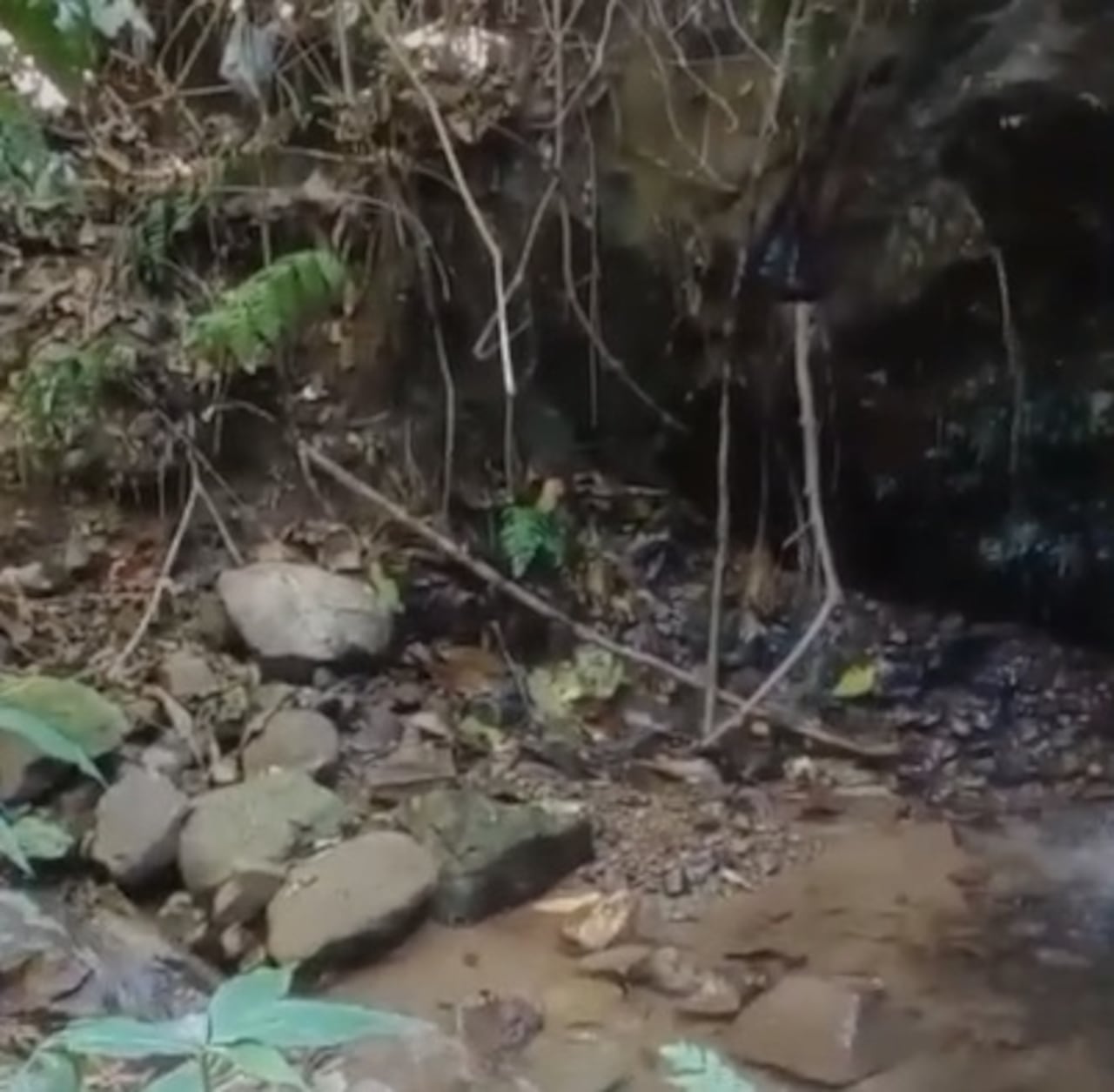 La reducción del caudal de la quebrada de Los Huevos genera preocupación entre las comunidades que dependen de esta fuente para su abastecimiento.