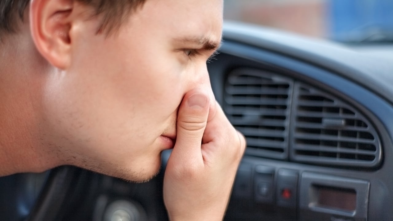 La elección de los elementos para mejorar el aroma del automóvil puede variar según las preferencias personales y el estilo de vida de cada conductor.