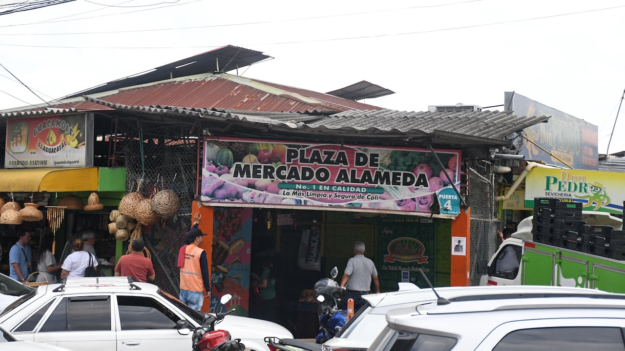 Proyecto renovación galeria Alameda