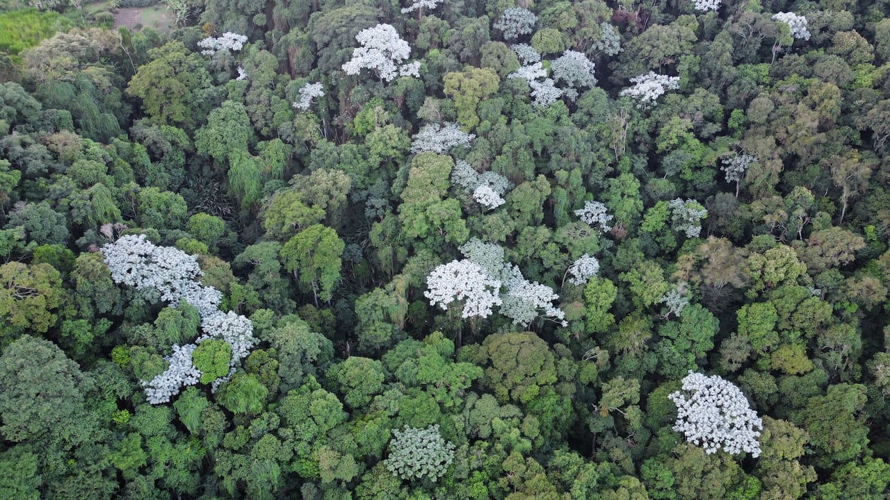Turismo de naturaleza en los corregimientos de Cali