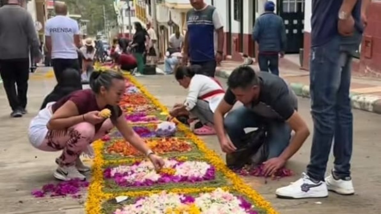 Guayatá ostenta un Récord Guinness por el tapete de flores naturales más largo del mundo