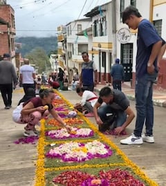 Guayatá ostenta un Récord Guinness por el tapete de flores naturales más largo del mundo