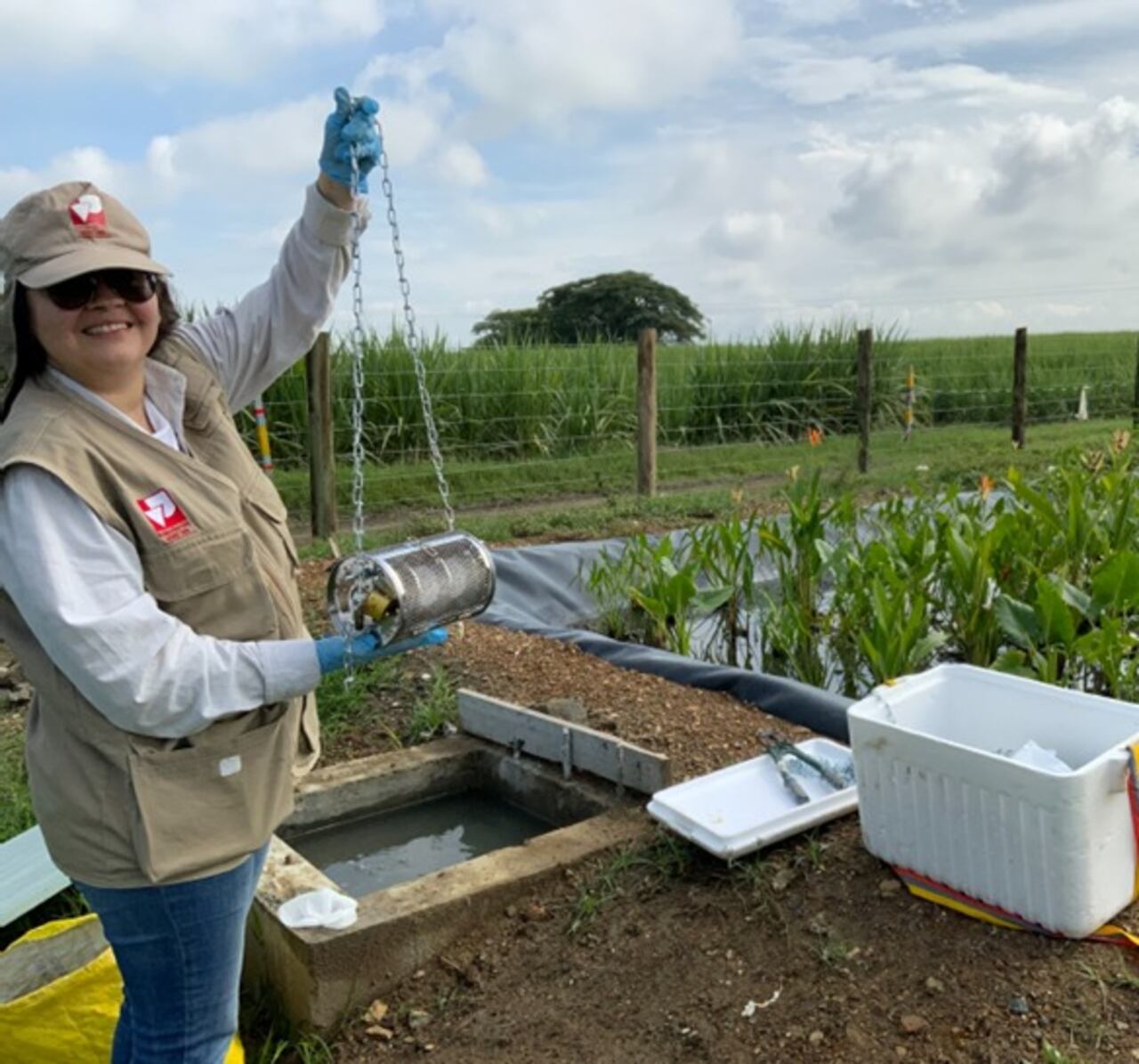Los resultados de la investigación adelantada por científicos de Univalle confirmaron la efectividad de las Soluciones Basadas en la Naturaleza para reducir la contaminación en cuerpos de agua.