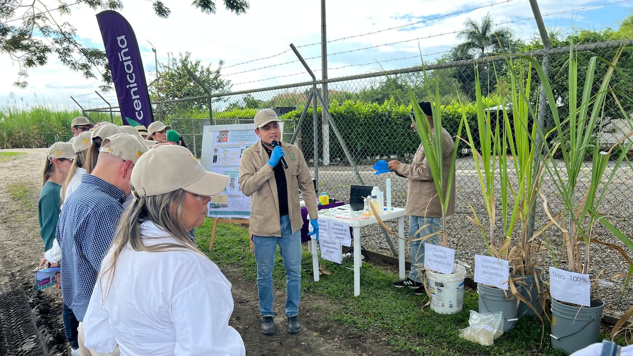 Cenicaña recibió de la FAO el reconocimiento de ‘Experiencia Excepcional’.