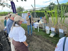 Cenicaña recibió de la FAO el reconocimiento de ‘Experiencia Excepcional’.