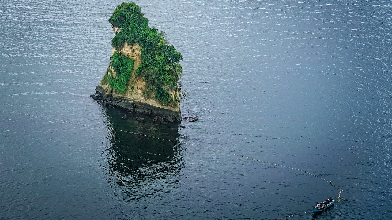 Especial Turismo, Columna CAF, Mejor Colombia