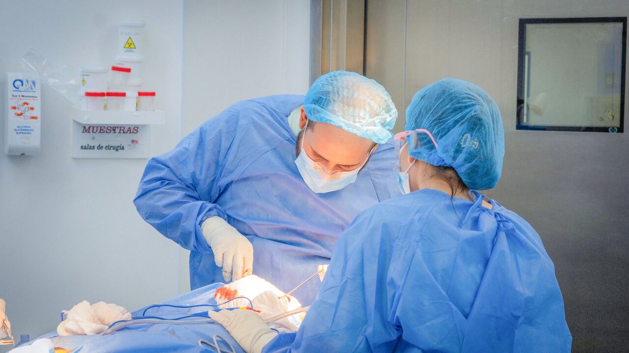 Odontectomía transoral en el HIC