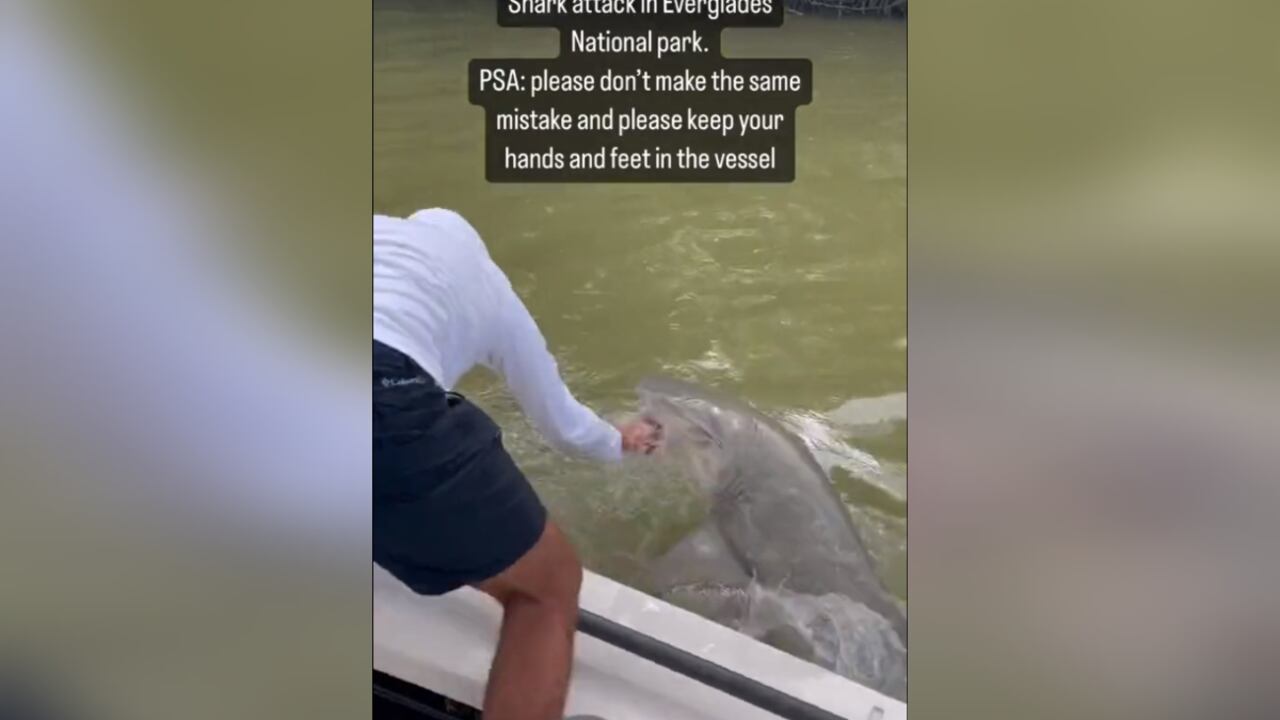 Fotograma: 0.08 Aterrador momento en que un tiburón muerde a un pescador Twitter:@AlertaMundial2