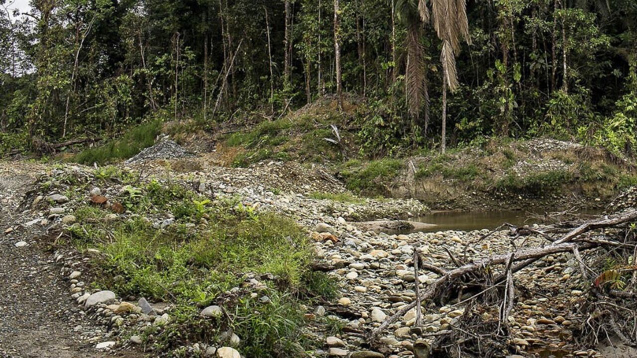La Procuradora también alertó los grandes e irreversibles daños en los ecosistemas y fuentes hídricas en el sur de Bolívar, el Bajo Cauca Antioqueño y en departamentos como Chocó, Caldas, Boyacá, Córdoba y Sucre, por las prácticas ilegales que utilizan este metal
