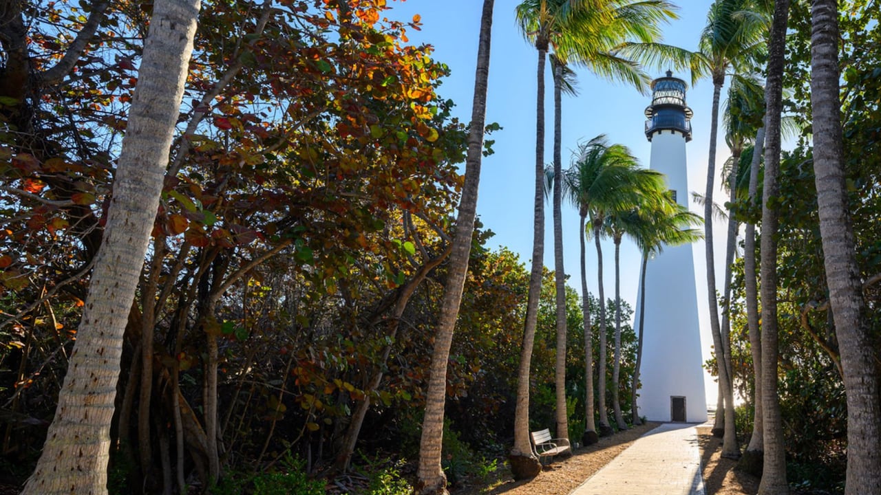 Licencia de conducción en Miami
