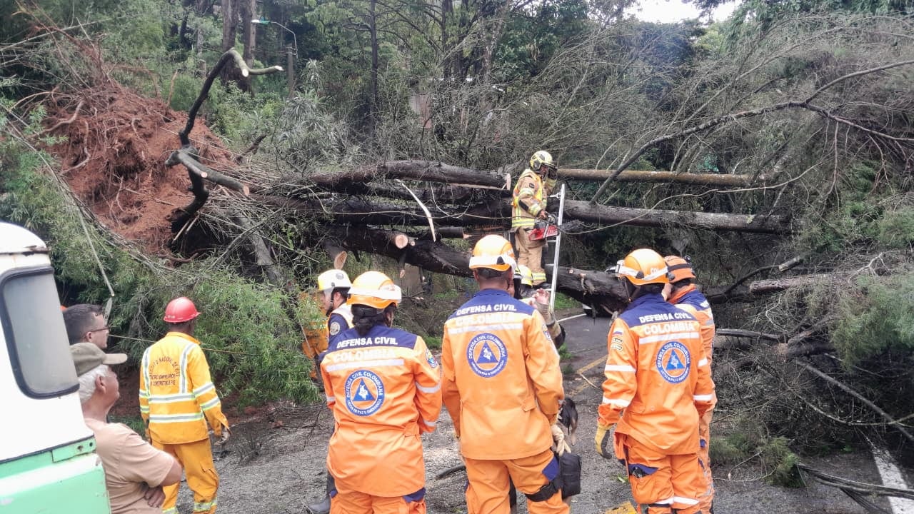 Derrumbes vía al mar 2026
