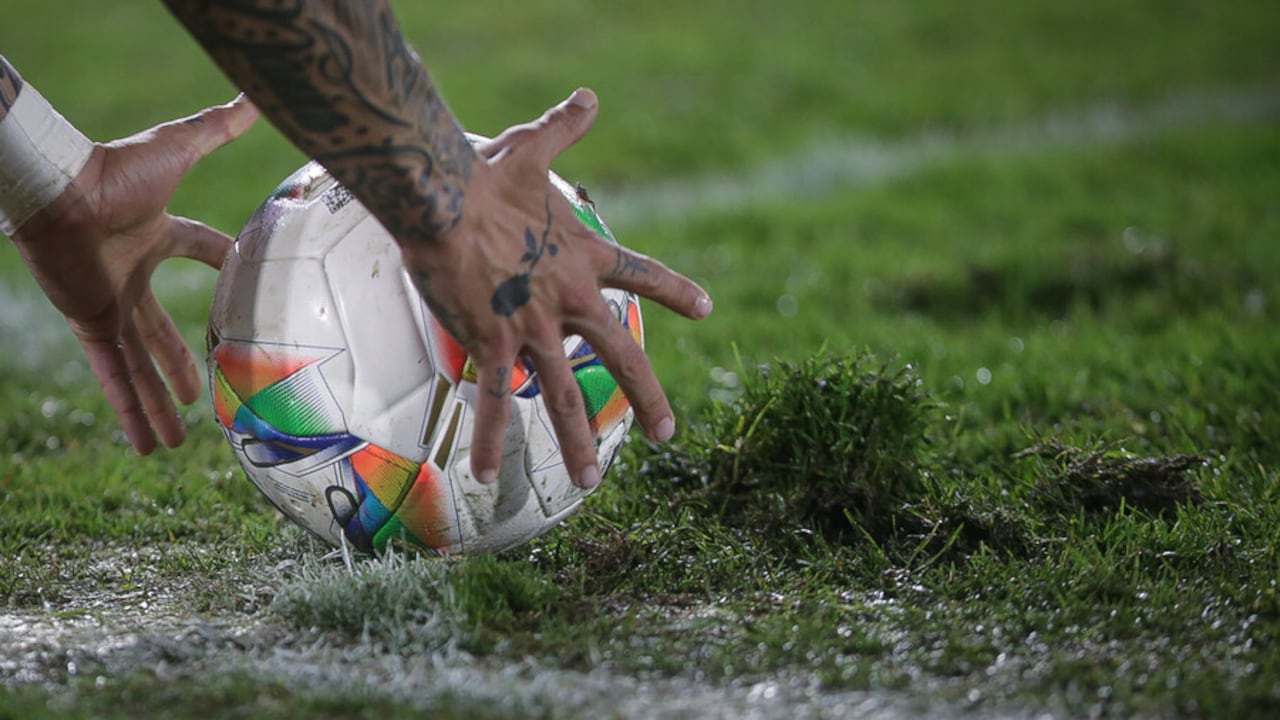 Imagen de la gramilla de El Campín.