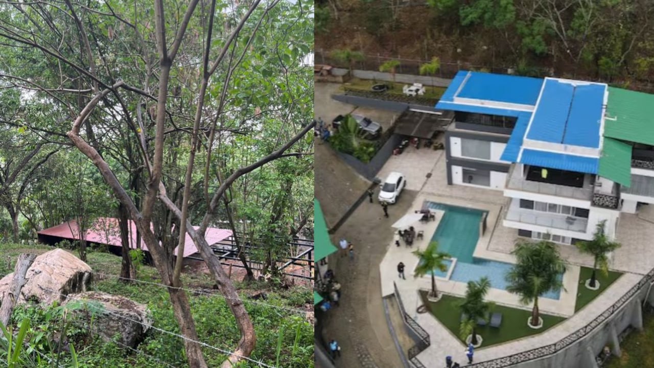 Predio invadido en Golondrinas