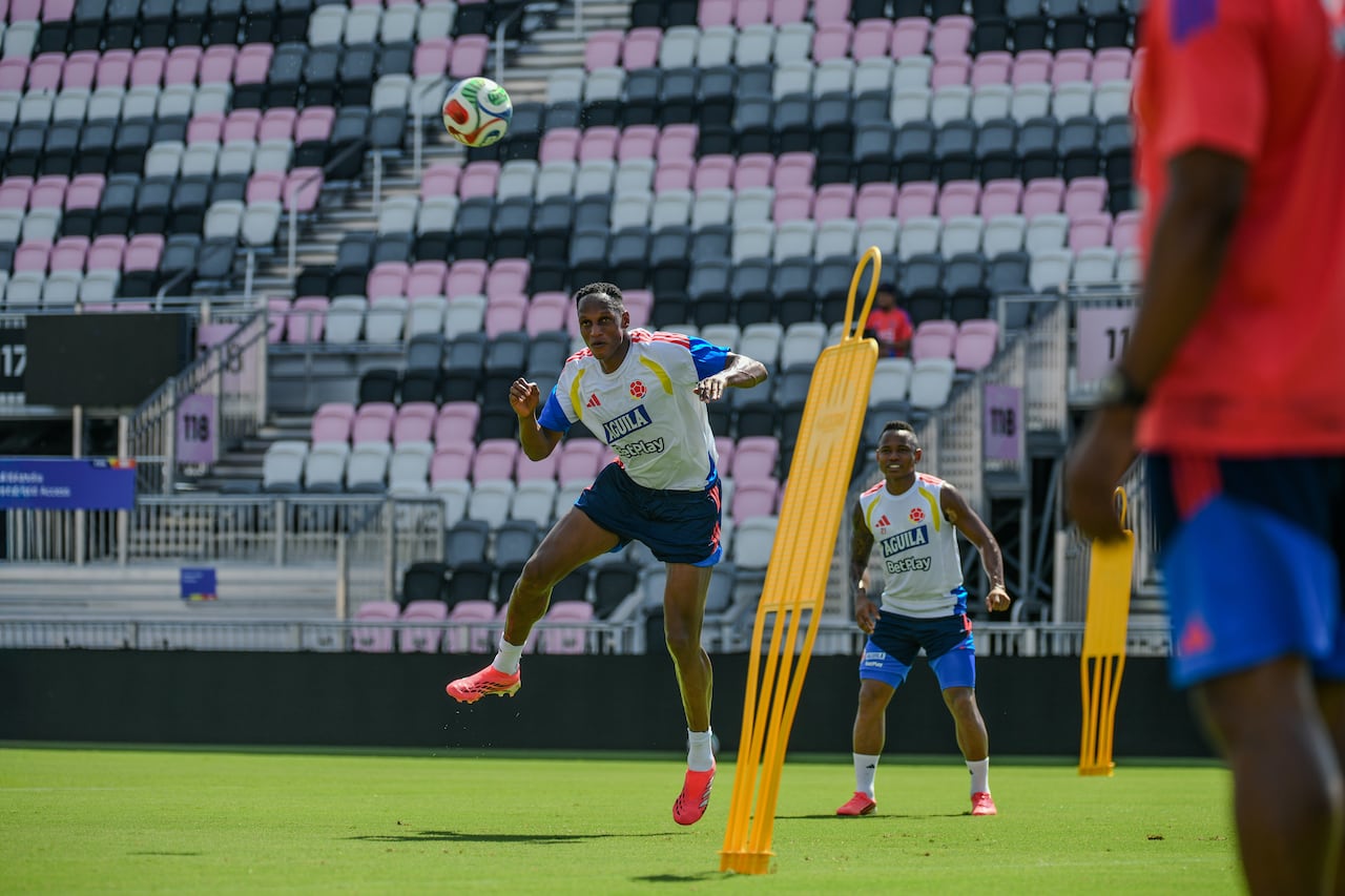 Yerry Mina