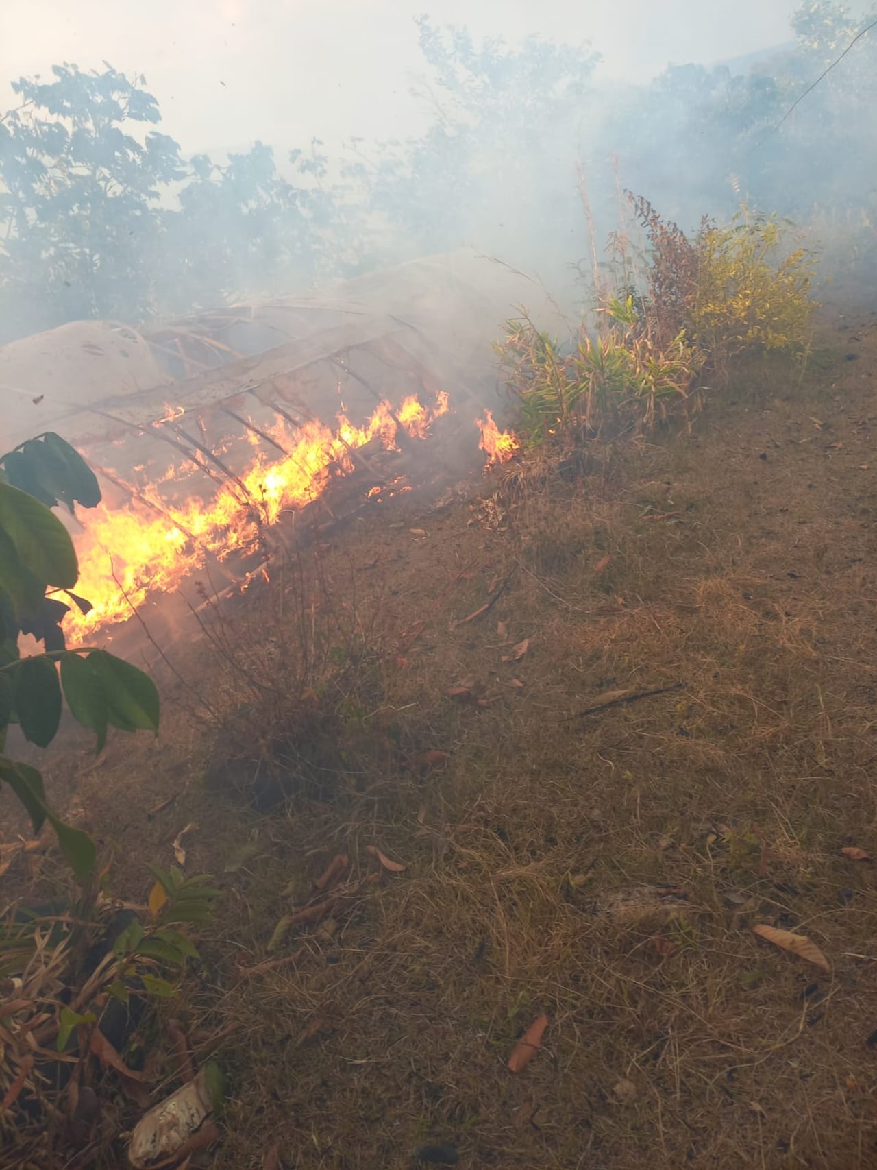 Varios invernadores terminaron reducidos a cenizas por el fuego, el cual avanza hacia otras veredas de esta parte del sur del Cauca, reportaron los bomberos de Timbío.