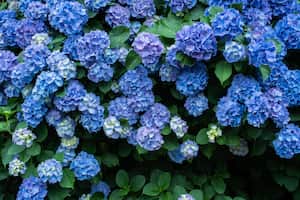 La flores azules tienen un significado especial.