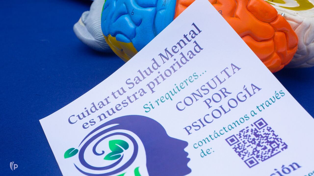 Varias instituciones de educación superior en Colombia, conscientes de la necesidad existente en este tema y como parte de su compromiso de transformación social, ya prestan este servicio a la población colombiana.
