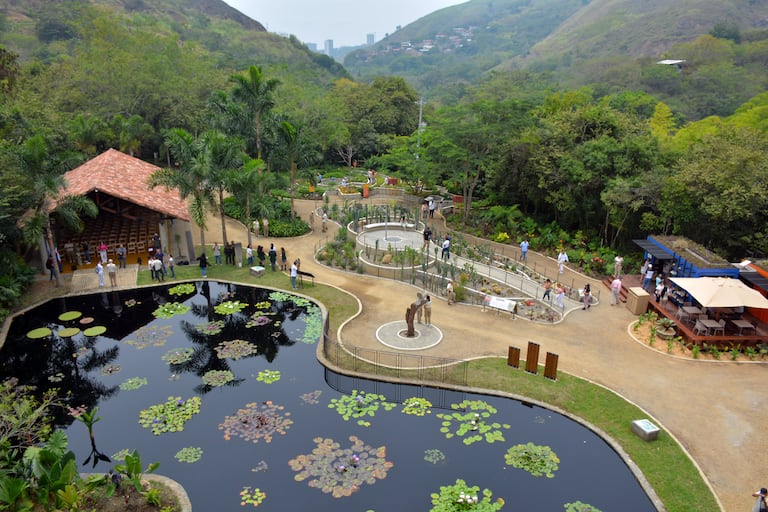 Jardín Botánico de Cali abre sus puertas al público. La Fundación Zoológica de Cali, le apuesta a que el JBC sea un ícono de ciudad, un lugar imperdible para visitar, más que un lugar para conocer de plantas es un lugar para aprender del mundo vegetal y promover valores relacionados con el buen vivir.
