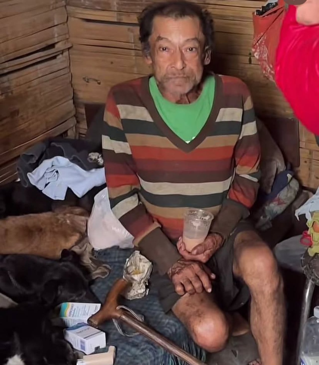 Don Omar tiene 70 años, y cuida de 12 peluditos en un pequeño cambuche en Pereira.