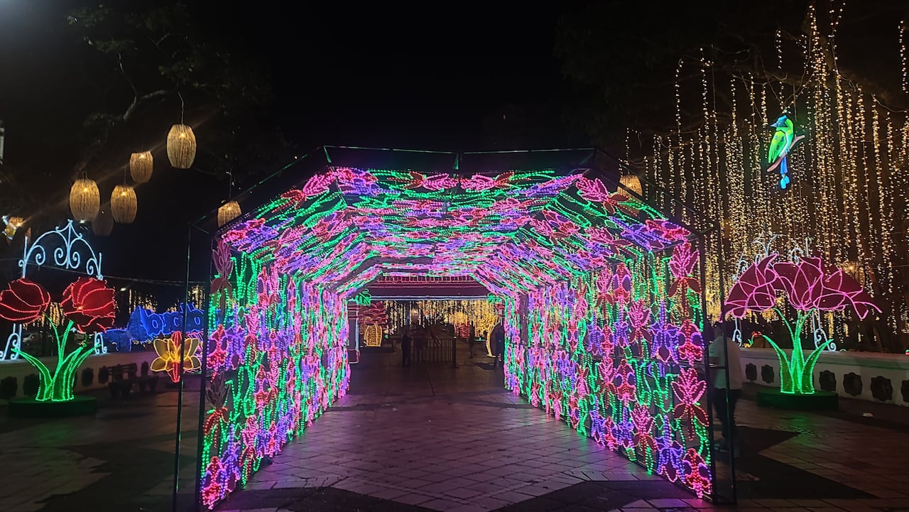 Alumbrado navideño en Cali 2025