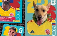 Los fanáticos están utilizando la inteligencia artificial de Google Gemini.