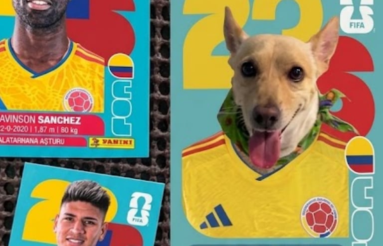Los fanáticos están utilizando la inteligencia artificial de Google Gemini.