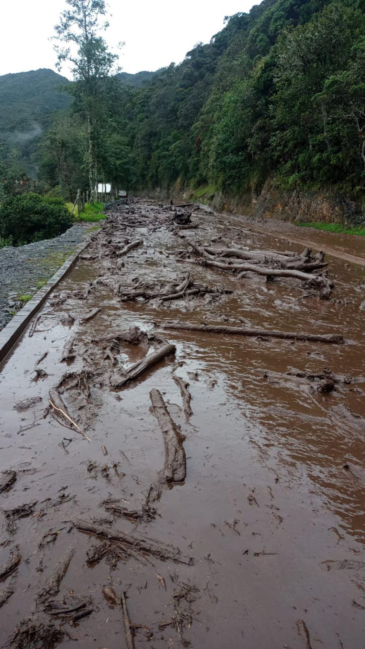 Bomberos Pasto atienden avalancha que se registra en el kilómetro 20 de la vía que comunica al corregimiento de El Encano, a la altura de La Vaca Lola con el departamento del Putumayo. Personal de dos estaciones se dirigen al lugar con maquinaria amarilla de esta institución.