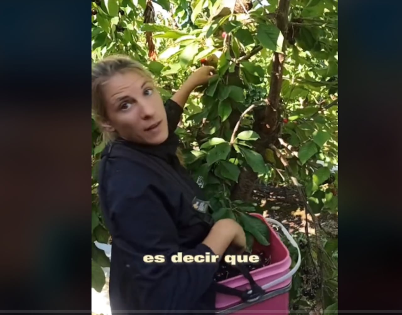 Comentan en su red social de Tik Tok varias de sus experiencias laborales en el país.