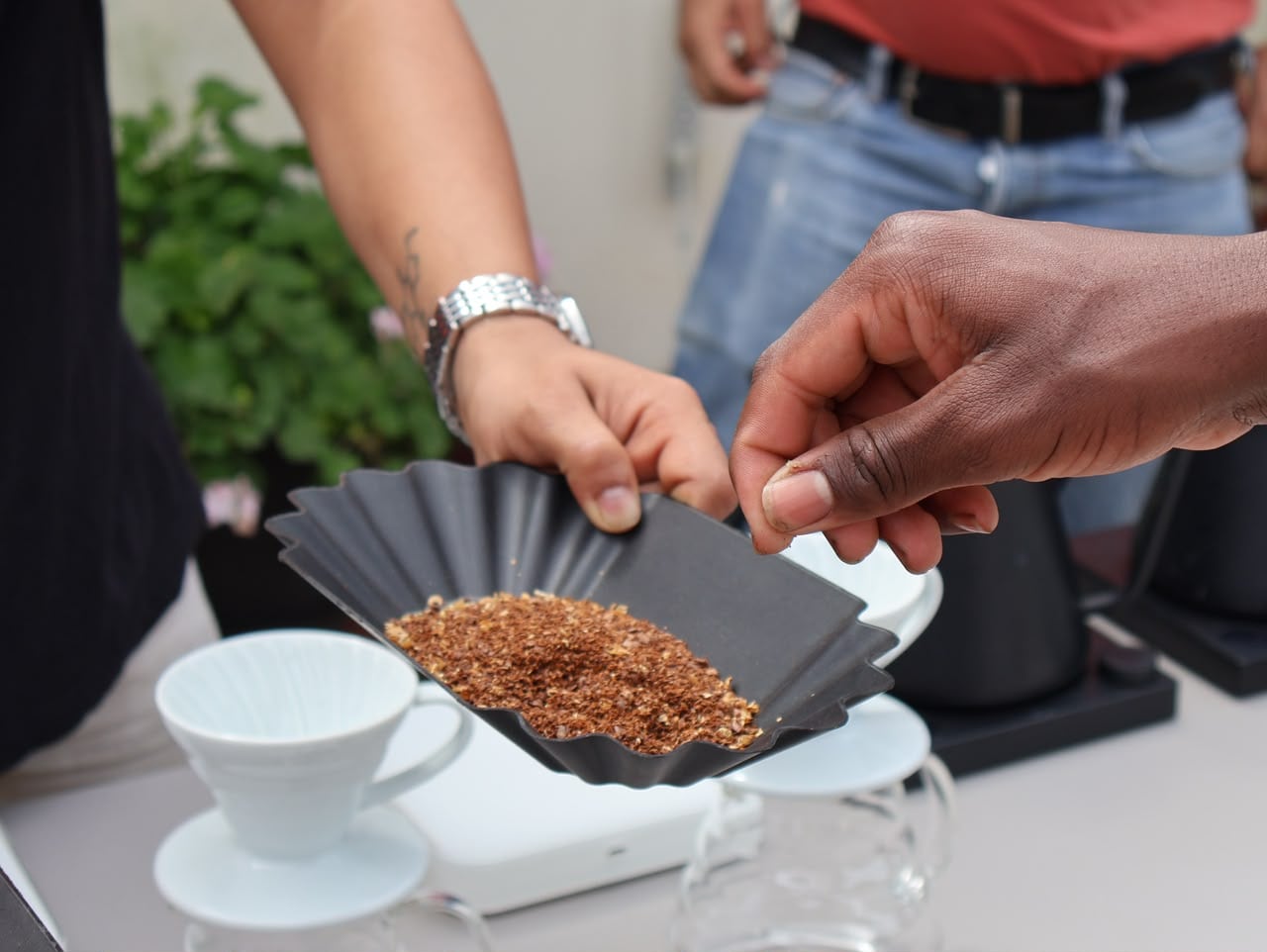En la finca Granja Paraíso 92, estudiantes aprenden técnicas de preparación y catación de café, como parte de un programa impulsado por la Alcaldía de Suárez para fortalecer el relevo generacional en la caficultura.