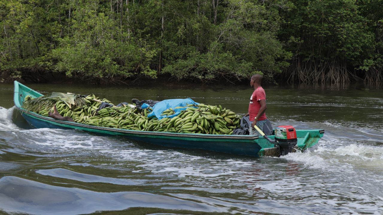 El Charco adelanta un proyecto que busca fortalecer las capacidades socio-microempresariales en la producción.