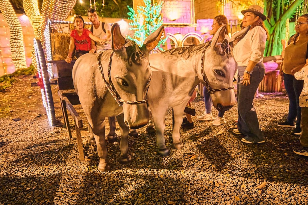 La entrada es totalmente gratis.