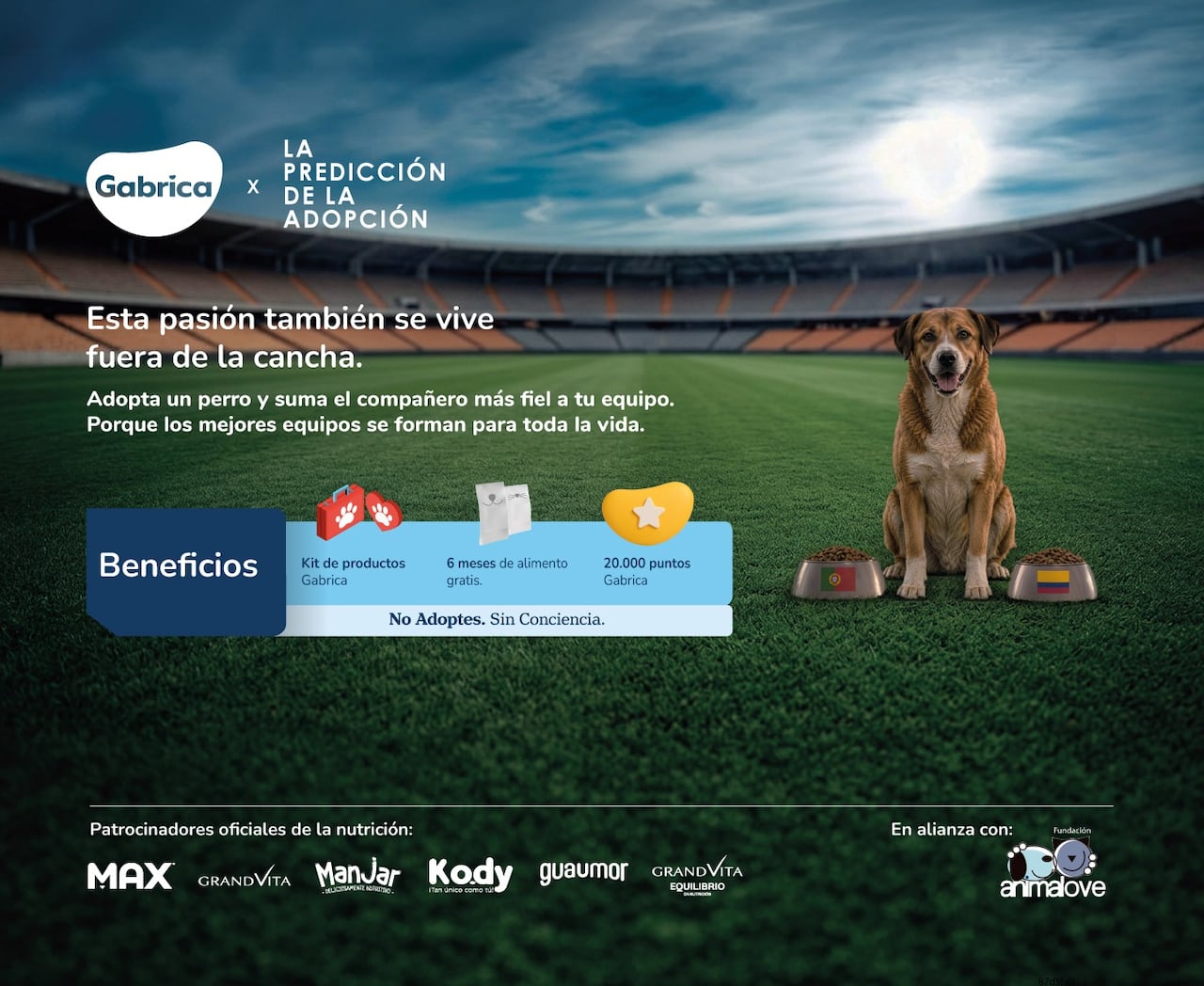 Además, Gabrica donará 21 toneladas de alimento para apoyar refugios y fundaciones de rescate animal.