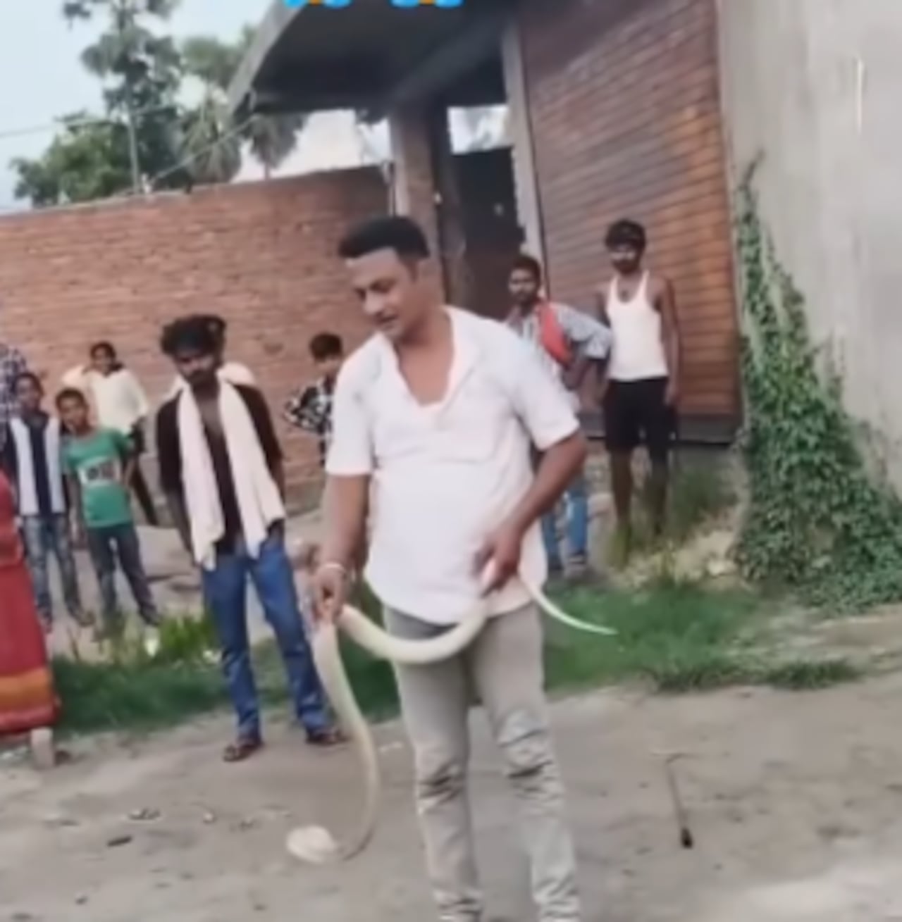 El hombre manipuló a la serpiente de diferentes maneras.