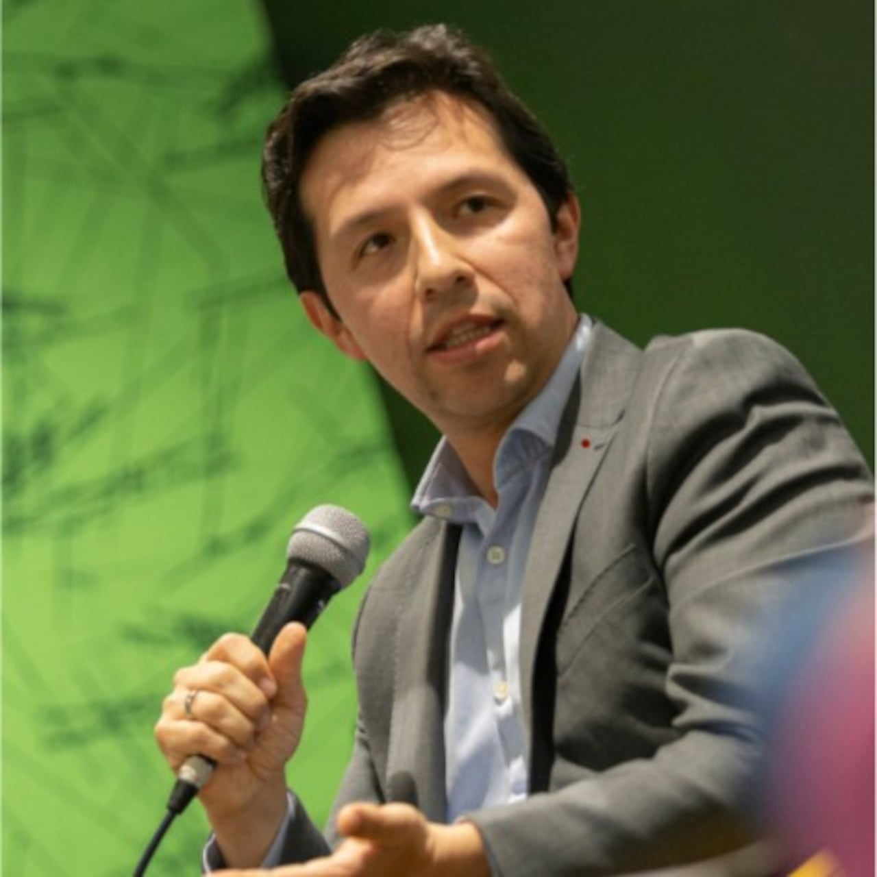 Felipe Castro, director de Asuntos Público de Ipsos Colombia.