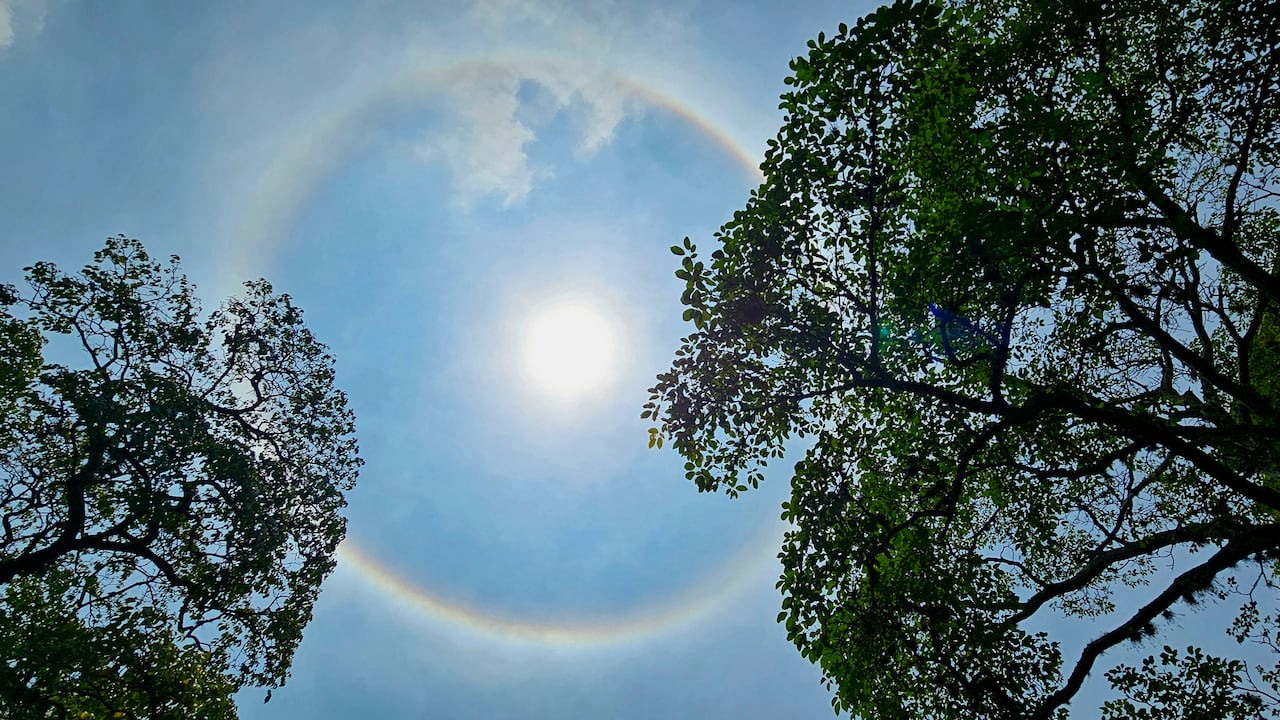 Halo solar
Este fenómeno atmosférico se produce cuando la luz del sol atraviesa diminutos cristales de hielo que se encuentran suspendidos en la parte alta de la atmósfera de la Tierra, lo que produce que la luz solar se disperse de una manera peculiar y de lugar a la formación de un aro de colores (similar a un arco iris) .