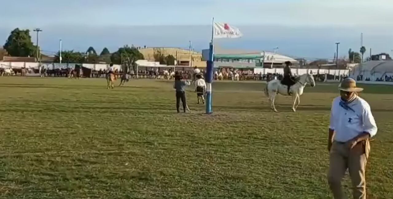 Momento en el que el caballo se alza en dos patas y cae sobre el joven jinete de 21 años.