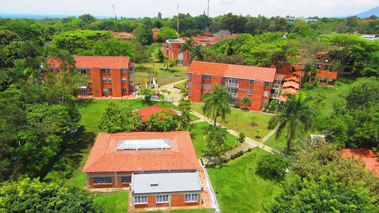 Los egresados de Unicatólica tienen excelentes salidas laborales gracias a su compromiso social.