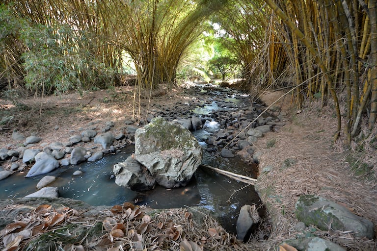Río Meléndez seco en Cali, por ola de calor. Foto Jorge Orozco / El País.