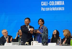 Primera sesión oficial de la cop 16 ministra del medio ambiente de Colombia Susana Muhamad ASUME como presidenta de la cop16.