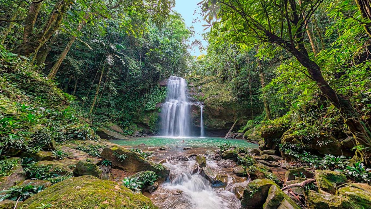 El Danubio, Valle del Cauca