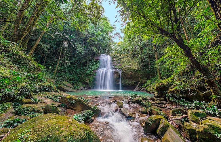El Danubio, Valle del Cauca